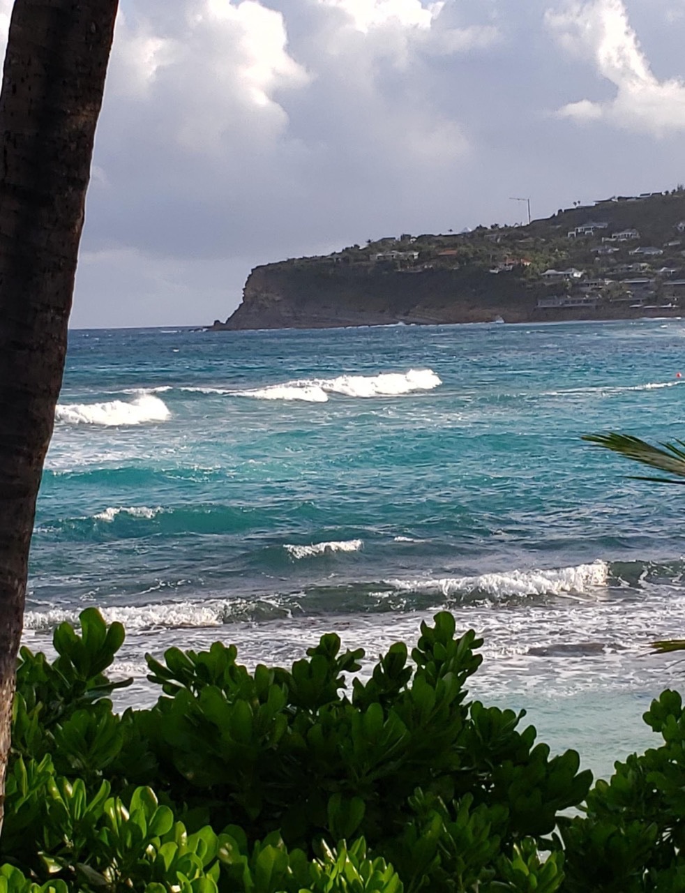 Essay on windy day at sea side 08 image