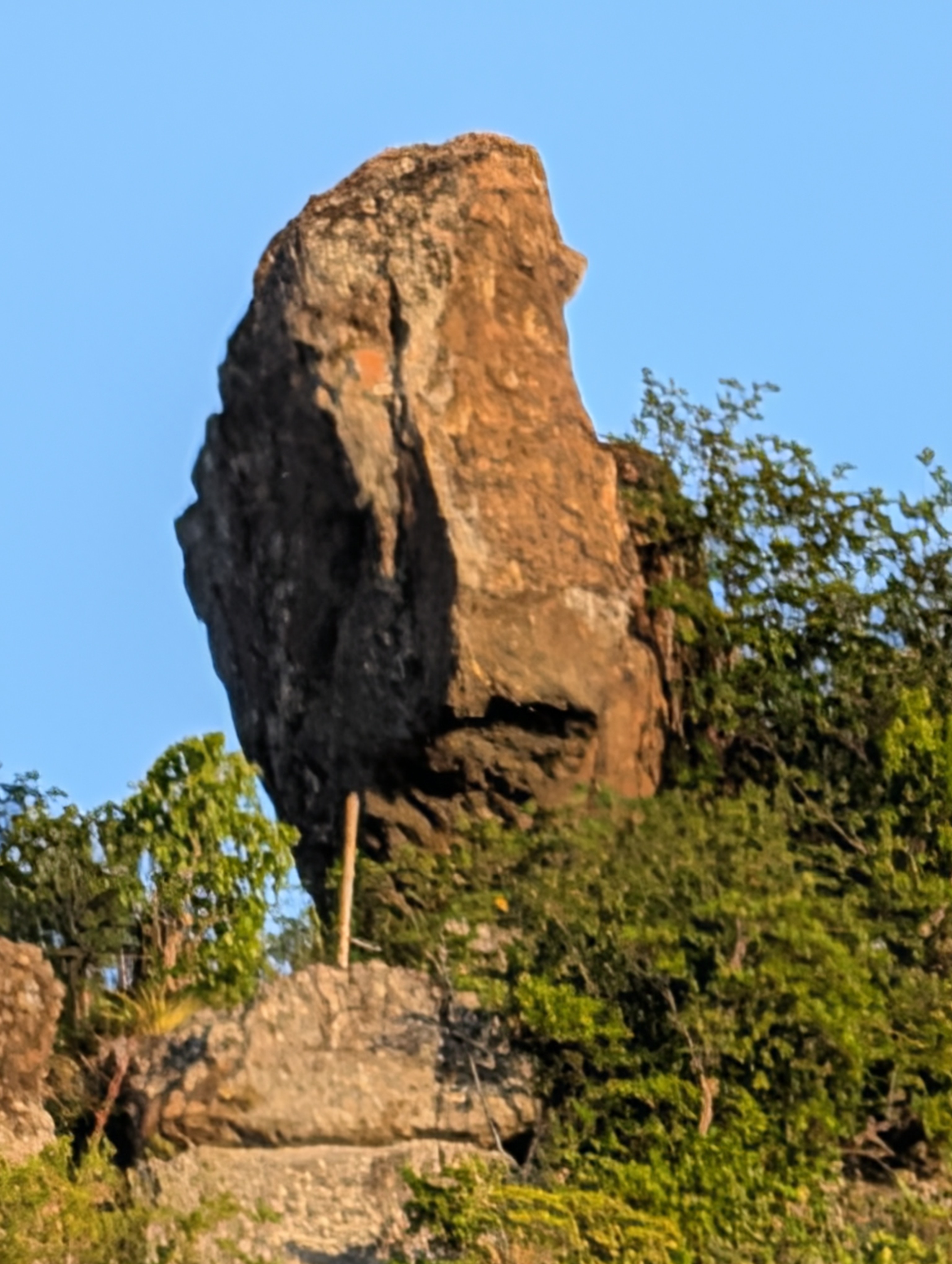 1424.jpg