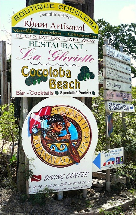 Cocoloba1.jpg
