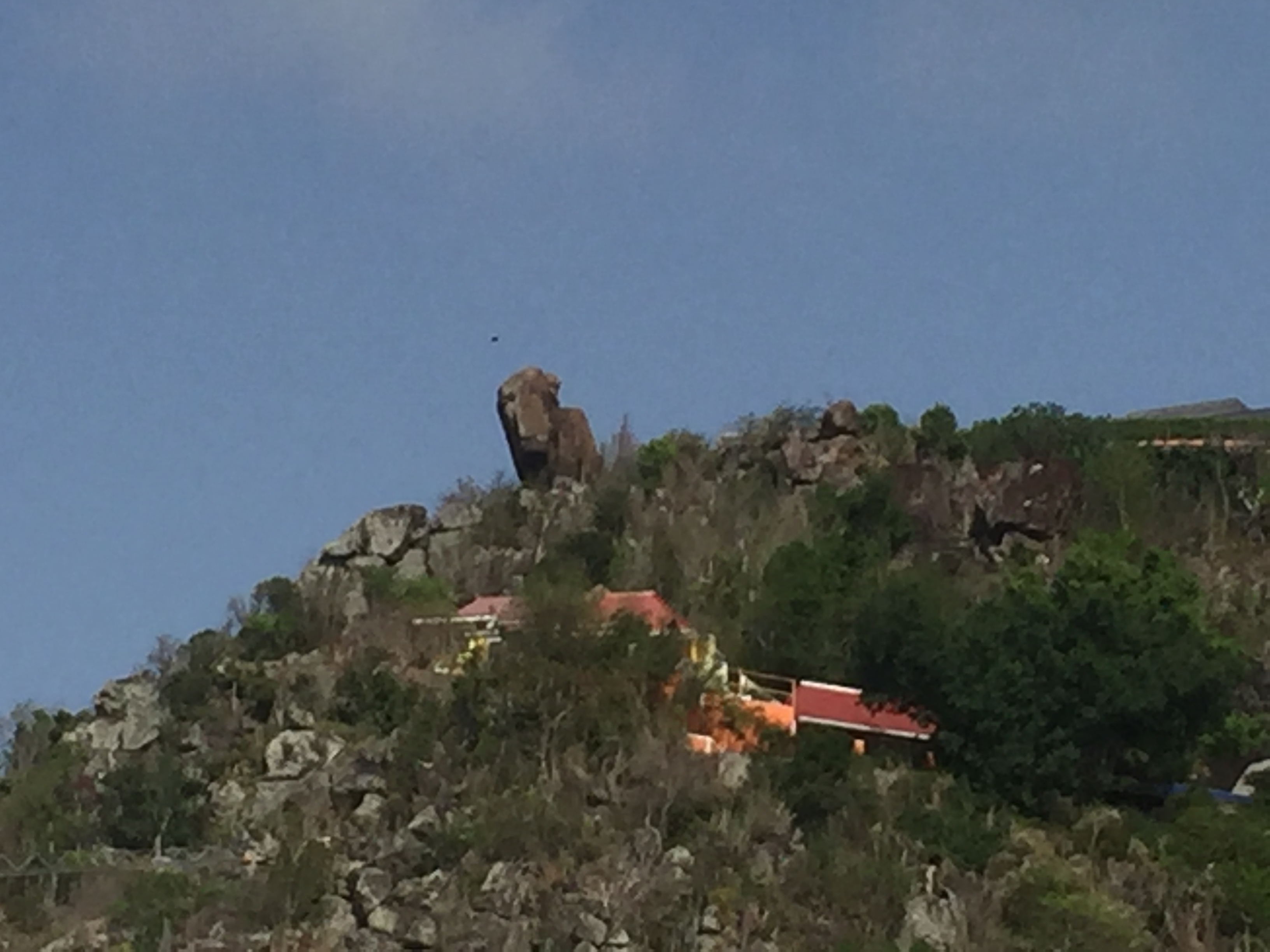 IMG_3126.jpeg