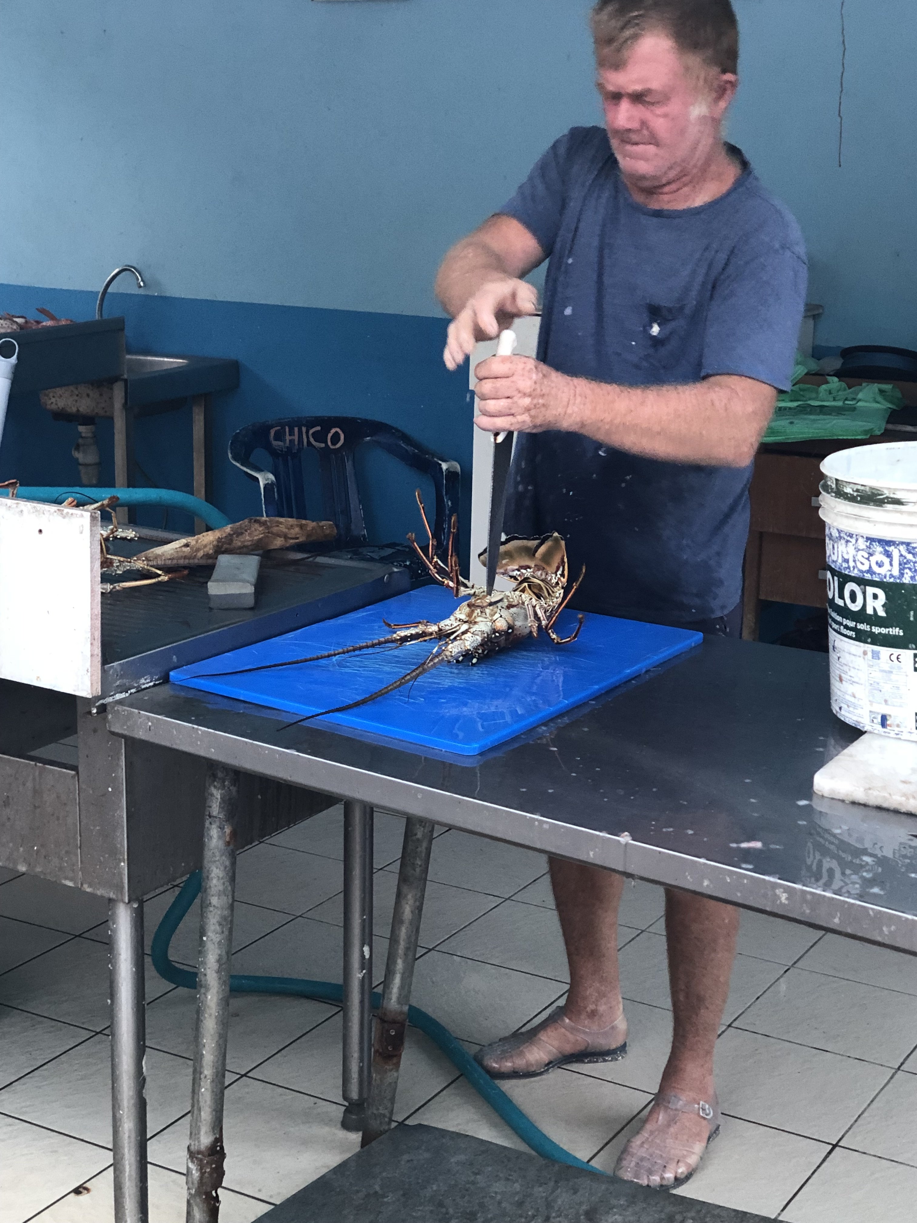 IMG_6581.jpeg