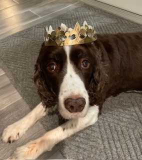 King Charlie.jpg