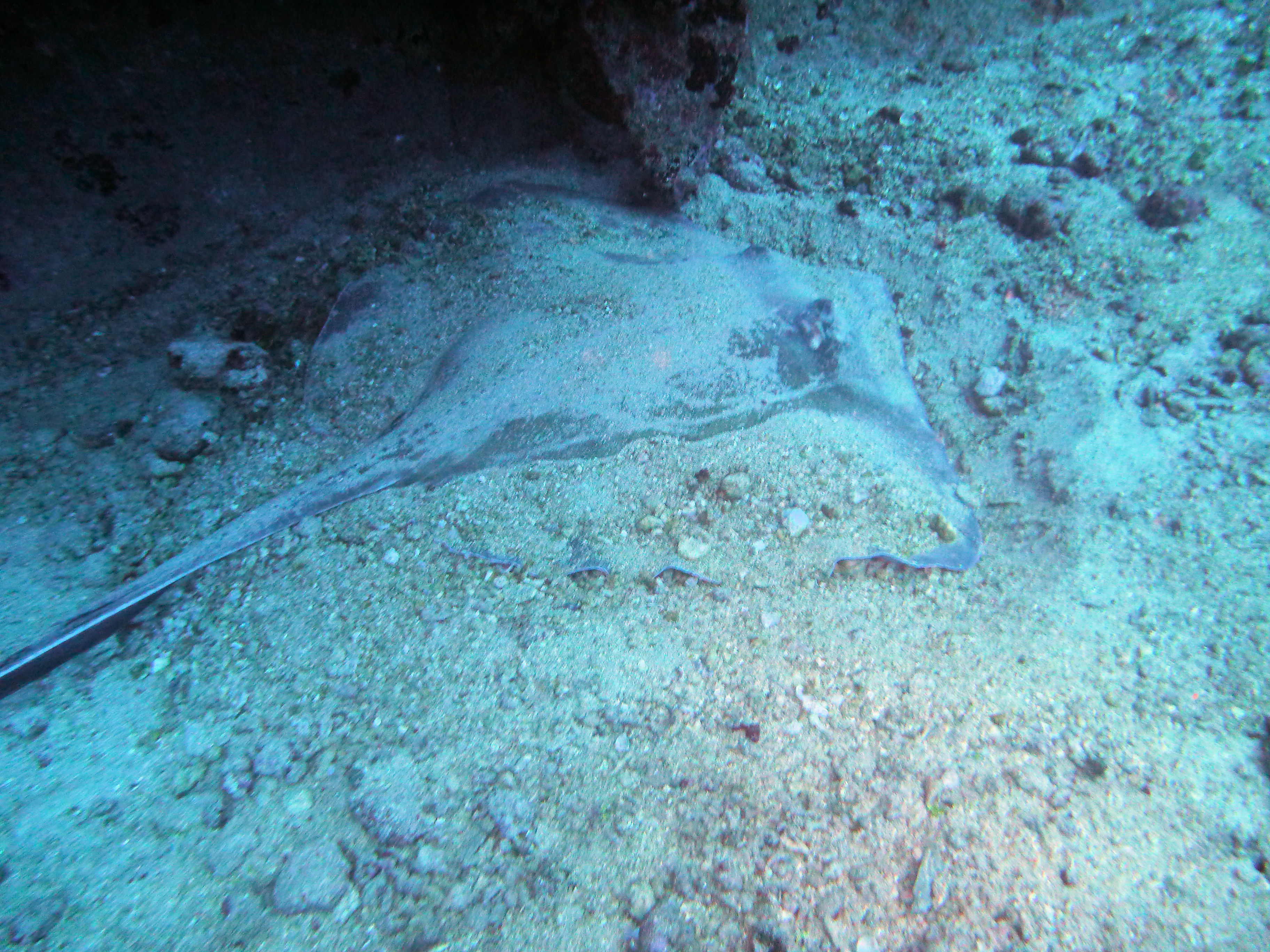 P1250865.JPG