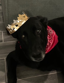 Queen Missy.jpg
