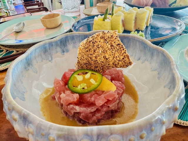 Tuna Tartare Nikki.jpg