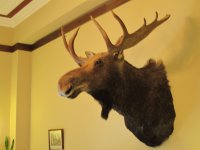 IMG_0421.JPG