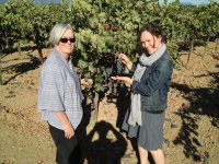 IMG_3909.jpg