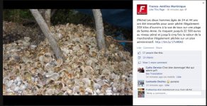 Screen Shot 2013-04-30 at 11.18.47 AM.jpg