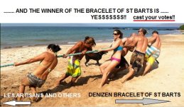 Denizen Bracelet of St Barts.jpg
