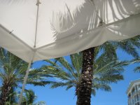 IMG_0428.jpg
