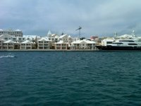 bermuda4.jpg