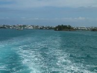 bermuda5.jpg