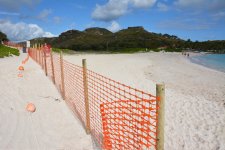 fence.jpg fence.jpg