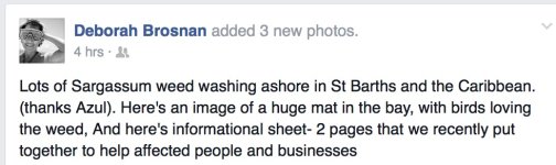 Screen Shot 2014-08-24 at 9.13.59 PM.jpg
