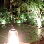 night shot.jpg night shot.jpg