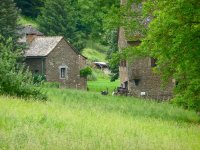 village1.jpg