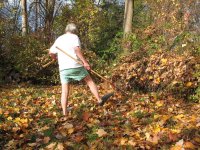 RakingLeaves-Today-_Sigh.jpg