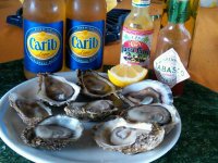 oysters_and_beer.jpg
