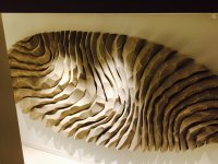 FullSizeRender-10.jpg
