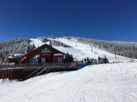 IMG_9927.jpg