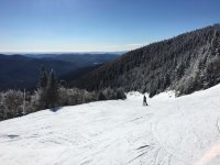 IMG_9929.jpg