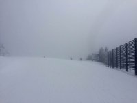 snow.jpg