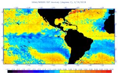 anomw.2.19.2018.jpg
