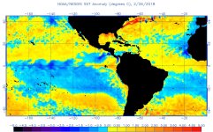 anomw.2.26.2018.jpg