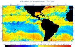 anomw.3.1.2018.jpg
