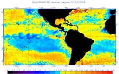 anomw.3.8.2018.jpg