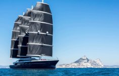 IMG_0390.jpeg IMG_0390.jpeg