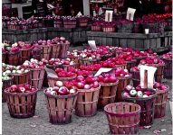 apples.jpg