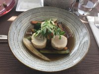 8F099FF6-A760-4624-9245-8D49E28367B4.jpg 8F099FF6-A760-4624-9245-8D49E28367B4.jpg