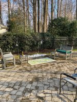 IMG_0487.jpg