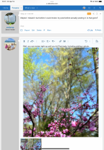IMG_0278.png