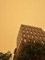 IMG_1184.jpeg