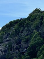 IMG_2886.jpeg IMG_2886.jpeg