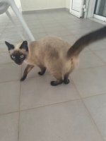 IMG_2892.jpeg IMG_2892.jpeg