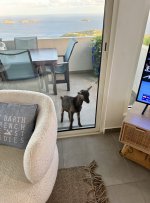 IMG_0112.jpeg IMG_0112.jpeg