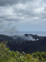 IMG_2331.jpeg