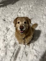IMG_7198.jpeg