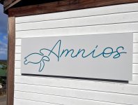IMG_7955.jpeg