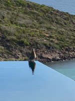 IMG_6311.jpeg