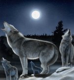 greywolfwl5.jpg