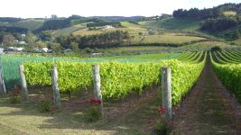 New_Zealand___Australia_2012_723.JPG