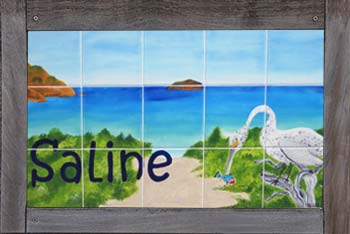 Saline Beach