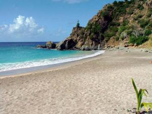 St Barts Beaches shell-beach