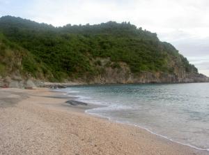 St Barts Beaches shell-beach