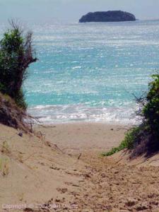 beaches-entrance-to-saline-st-barts-beach