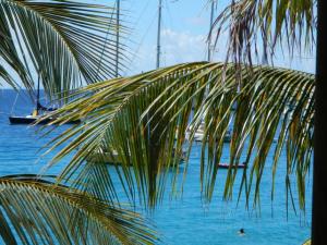 from-do-brazil-at-shell-beach